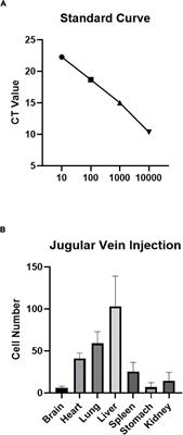 Umbilical Cord Blood Mononuclear Cell Treatment for Neonatal Rats With Hypoxic Ischemia